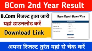 Bcom 2nd year Result 2024: (बीकॉम परिणाम 2024) जारी जल्दी यहां चेक करें Bcom 1st, 2nd, 3rd Year Result: