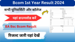 Bcom 1st year Result 2024: (बीकॉम परिणाम 2024) जारी जल्दी यहां चेक करें Bcom 1st, 2nd, 3rd Year Result