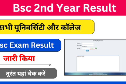 Bsc 2nd Year Result 2024: (बीएससी रिजल्ट 2024) बीएससी पार्ट 2 रिजल्ट जारी, जल्दी यहां से चेक करे